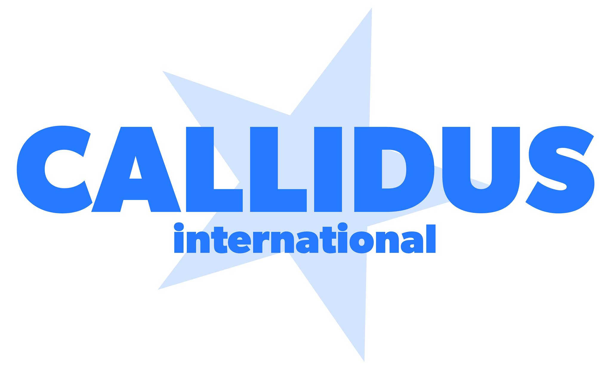 Callidus International SE