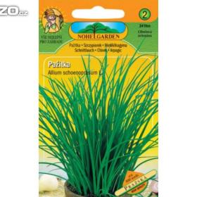 Pažitka pražská (semena) rostliny- prozdravi. cz / 12400994