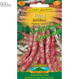 Fazol keříčkový -  Borlotto lingua di fuoco nano (semena) levna- semena. cz / 12425311