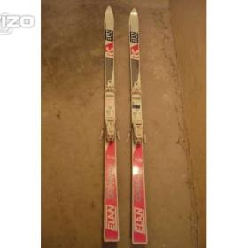 Fotka k inzerátu Prodám lyže ELAN 185 cm + vázání Tyrolia 290 / 18772730