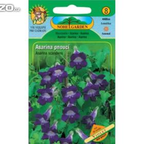 Asarina pnoucí, Violet (semena) www. levna- semena. cz / 12859009