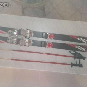 Foto inzerátu Lyžař.hole