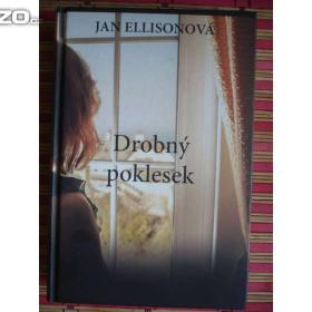 Jan Ellison Drobný poklesek / 13595386