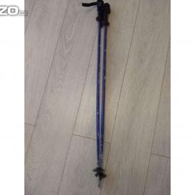 Fotka k inzerátu Prodám starší sjezdové dětské hůlky  / 18219580