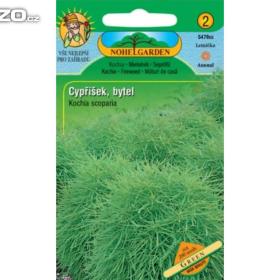 Cypřišek -  Green (semena) www. levna- semena. cz / 14582532