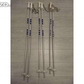 Fotka k inzerátu Prodám starší sjezdové hůlky / 19617909