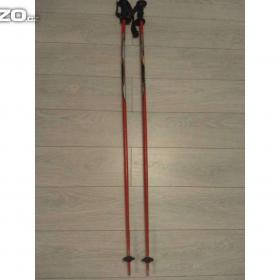 Fotka k inzerátu Prodám starší sjezdové hůlky HEAD 135cm / 18766998