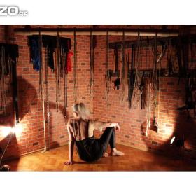 BDSM a SHIBARI / 15426993