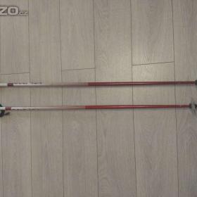 Fotka k inzerátu Prodám starší sjezdové hůlky 120cm / 19669088