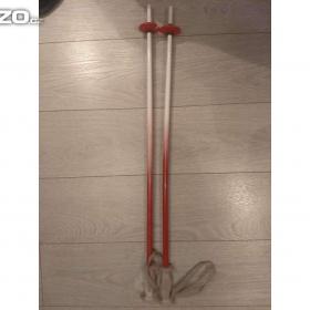 Foto inzerátu Prodám starší sjezdové hůlky 80cm