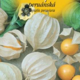 Fotka k inzerátu Mochyně peruánská -  Jedlá /www. rostliny- prozdravi. cz / 15615201