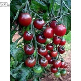 Rajče tyčkové, růžové (semena) rostliny- prozdravi. cz / 15615836