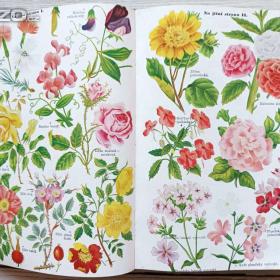 Foto inzerátu Praktická hospodyňka, oba dva díly, rok vydání 1928