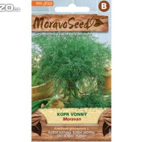 Kopr vonný, Moravan /www. levna- semena. cz / 15689186