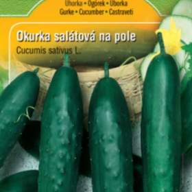 Okurka salátová, Linda (semena) rostliny- prozdravi. cz / 15726474