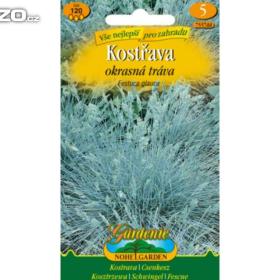 Kostřava -  Okrasná tráva (semena)www. rostliny- prozdravi. cz / 15753689
