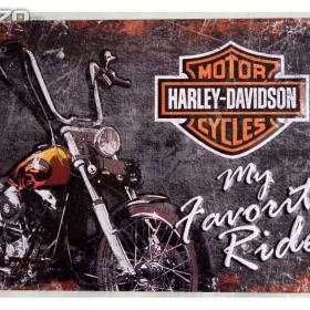 Plechová cedule- Harley- Davidson (My Favorite Ride) 20x30cm / 15764545