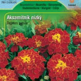 Aksamitník nízky , Red- Brown (semena) levna- semena. cz / 15785591