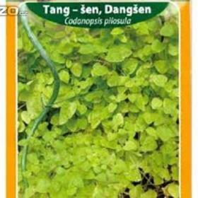Tang -  Šen, Dangšen -  Léčivá rostlina (semena) www. levna- semena. cz / 15927605
