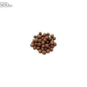 Nové koření celé (100g) /www. rostliny- prozdravi. cz / 15960977