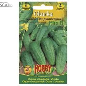 Okurka nakládačka, Mira - www. levna- semena. cz / 15962457