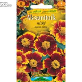 Foto inzerátu Aksamitník rozkladitý nízký, hnědo-žlutý (semena) levna-semena.cz