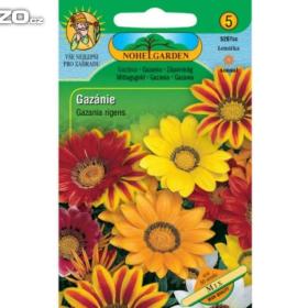 Foto inzerátu Gazánie zářivá, Mix (semena) rostliny-prozdravi.cz