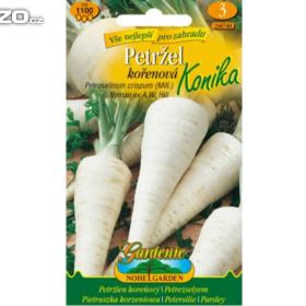 Petržel kořenová, Konika /www. levna- semena. cz / 16070490