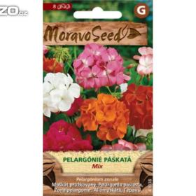 Pelargónie páskatá mix (semena) www. levna- semena. cz / 16321003
