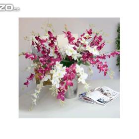 orchidej / 16344449