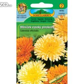 Měsíček lékařský, plnokvětý (semena) levna- semena. cz / 16402322