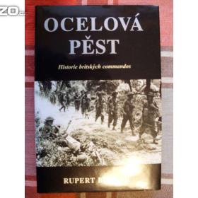 Rupert Butler Ocelová pěst / 16404888