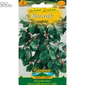 Kávovník arabský (semena) www. lena- semena. cz / 16411843