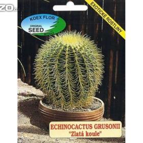 Echinocactus Grusonii -  Zlatá koule (semena) / www. levna- semena. cz / 16415007
