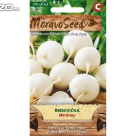 Ředkvička, Bílá -  Whitney (semena) levna- semena. cz / 16421785