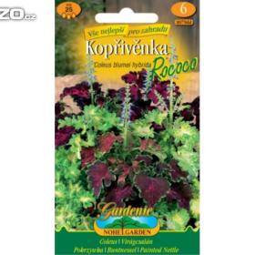 Kopřivěnka zkřížená Rococo / www. rostliny- prozdravi. cz / 16422068