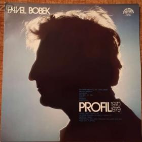 Foto inzerátu LP - Bičevská, Bobek, Bojané, Brabec a Country Beat