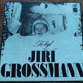 Foto inzerátu LP - Fleetwood Mac, Gibb, Gott, Grossmann