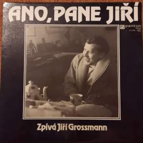Foto inzerátu LP - Fleetwood Mac, Gibb, Gott, Grossmann