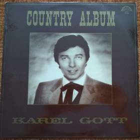 Foto inzerátu LP - Fleetwood Mac, Gibb, Gott, Grossmann