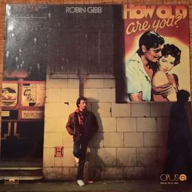 Foto inzerátu LP - Fleetwood Mac, Gibb, Gott, Grossmann