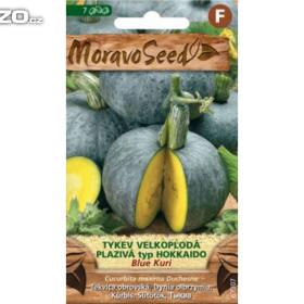Tykev velkoplodá plazivá Blue Kuri (semena) www. levna- semena. cz / 16708062