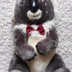 Fotka k inzerátu PLYŠOVÝ MEDVÍDEK KOALA / 19424920