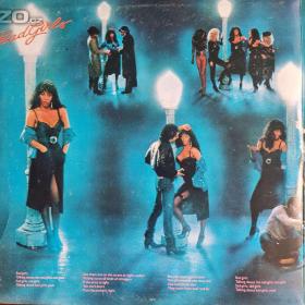 Foto inzerátu LP - DONNA SUMMER / Bad Girls (2 LP)