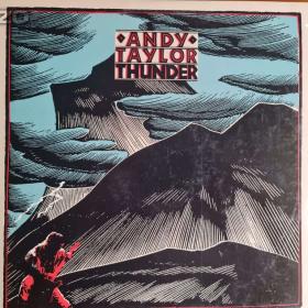 Fotka k inzerátu LP -  ANDY TAYLOR / Thunder / 16914403