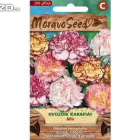 Hvozdík karafiát s lemem, směs (semena) www. levna- semena. cz / 16968301