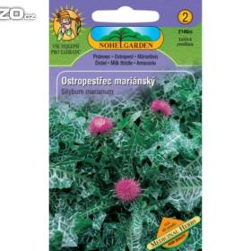 Ostropestřec mariánský -  Léčivá rostlina (semena) www. rostliny- prozdravi. cz / 17009320