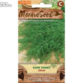 Kopr vonný Oliver (semena) www. rostliny- prozdravi. cz / 17037882