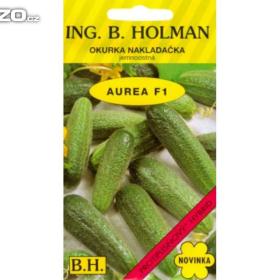 Okurka nakládačka jemnoostná, Aurea F1 (semena) www. rostliny- prozdravi. cz / 17183320