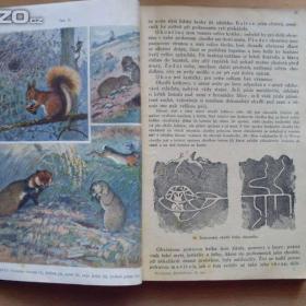 Foto inzerátu František Polívka Živočichopis pro nižší třídy škol středních